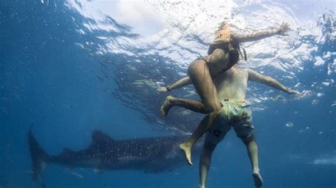 Tiburones en venecia, jurásicos y hasta fantasmas. El Tiburón se la llevó | Documentales con el Tito Shark ...