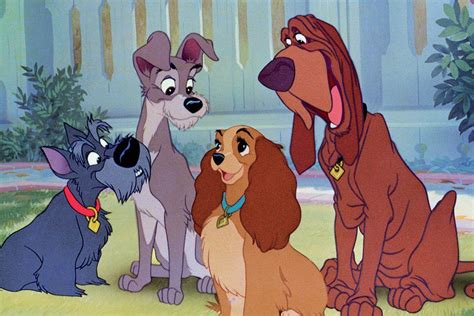 El Remake De La Dama Y El Vagabundo De Disney Usará Perros Reales