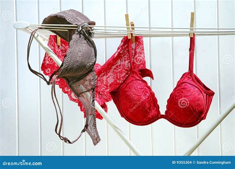 Colored Bras And Panties Drying Stock Photography CartoonDealer Com