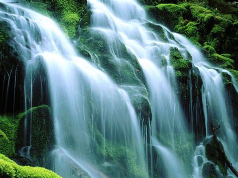Green Cascading Waterfall Rocks Moss Green Wallpaper Hd 1920x1200