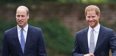 prince harry and prince william reunite at princess diana statue unveiling release joint