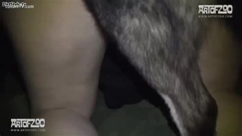 Close Up On Dog Fucking A Cum Hole