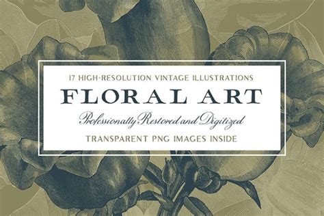 17 Detailed Botanical Illustrations Plus Extras Tom Chalky