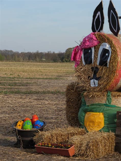 Easter Bunnies In The German Westphalia Stock Image Image Of