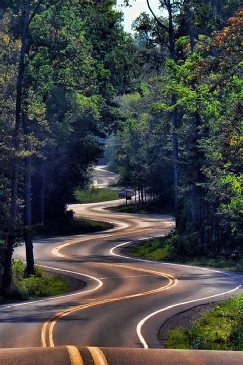Long And Winding Road Through Trees Beautiful Roads Forest Road Scenery