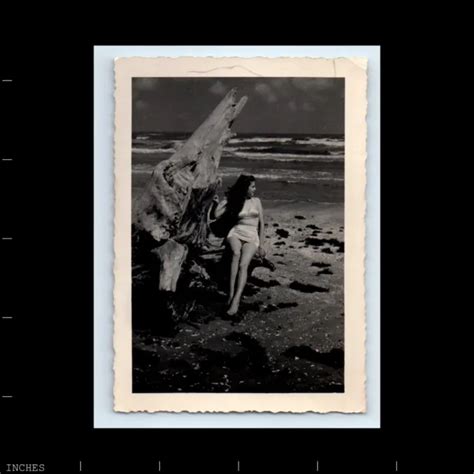 OLD PHOTO SEXY PINUP GIRL WOMAN IN BIKINI BEACH SCENE MODEL DRIFTWOOD EUR PicClick FR