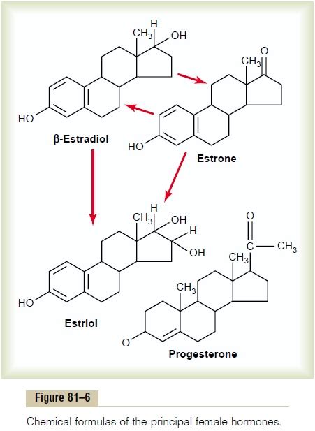 Chemistry Of The Sex Hormones