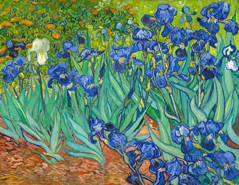 Irises 1889 By Vincent Van Gogh Paintings Reproductions Most