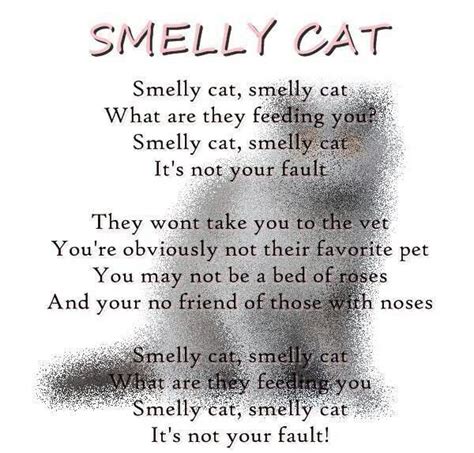 Smelly Cat Lyrics Africanlasopa