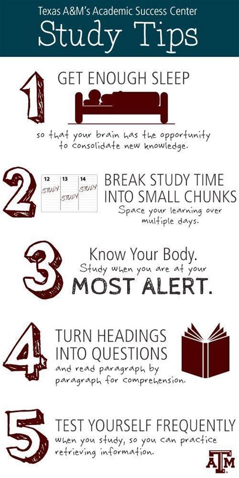 Study Tips 1 Get Enough Sleep So That Your Brain Has The Opportunity To