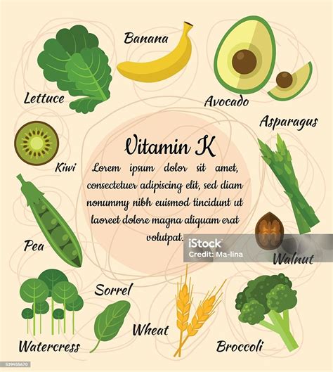 Set Of Vitamin K Stock Illustration Download Image Now Agriculture