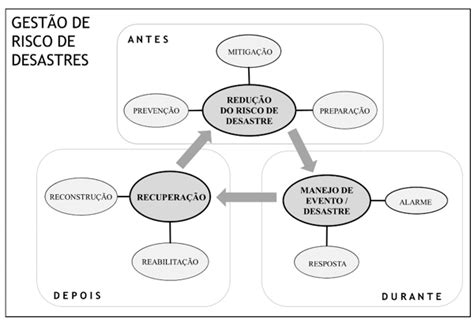 Esquema da gestão de risco de desastres Download Scientific Diagram