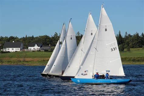 Racing Bluenose Class Boats In Chester Ns
