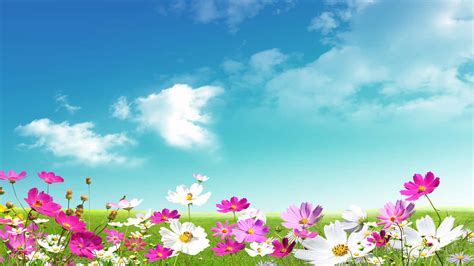 100 720p Spring Backgrounds