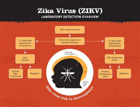 9 Zika Virus Facts You Should Know About Healthblog