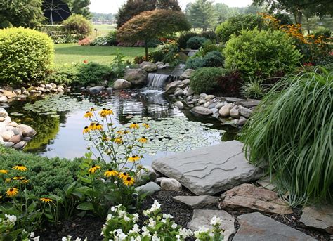 Transform Your Backyard With Enchanting Goldfish Ponds With Waterfalls