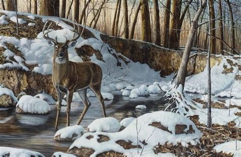 Jim Hansel Eeuu Pintor De Naturaleza Y Fauna Deer Artwork