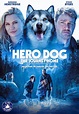 Hero Dog: The Journey Home (2021) - IMDb