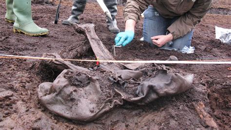Bbc Four 4000 Year Old Cold Case The Body In The Bog 4000 Year