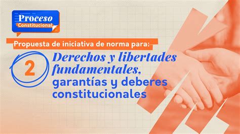 Iniciativa De Norma Derechos Fundamentales Libertades Garantías Y Deberes Constitucionales