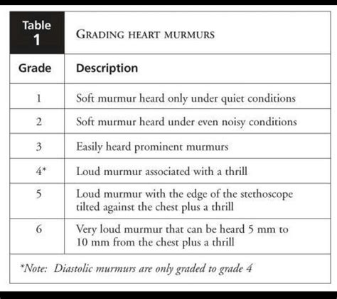 Grading Heart Murmurs Nursing Pinterest Heart Murmur Nclex Rn And Nclex