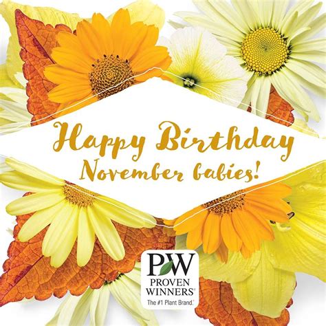 Happy Birthday November Babies Enjoy Your Special Day When It Rolls