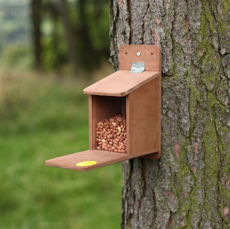 Squirrel Feeder The Nestbox Company