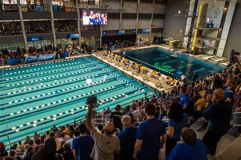 Iowa Swimming And Diving Closes Regular Season With Wins Over Western
