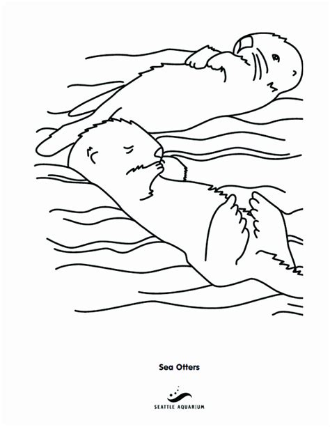 Sea Otter Drawings Coloring Home
