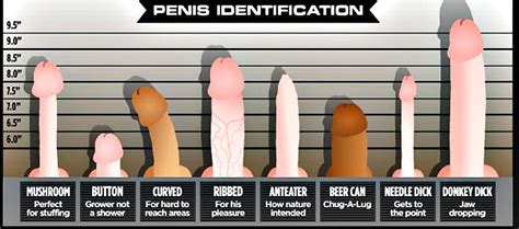 What Does Your Penis Look Like Please Comment 7 Pics Xhamster
