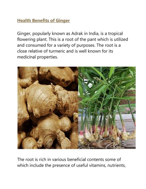 Health Benefits Of Ginger Nutrition Facts Of Adrak By 3medsindia Issuu
