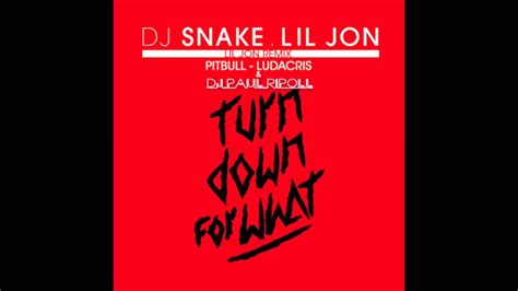 Dj Snake Lil Jon Turn Down For What Dj Paul Ripoll Remix Feat