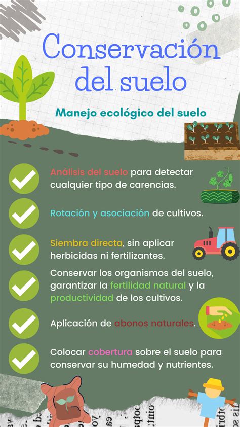 Ideas para conservar nuestros suelos de forma ecológica y sostenible