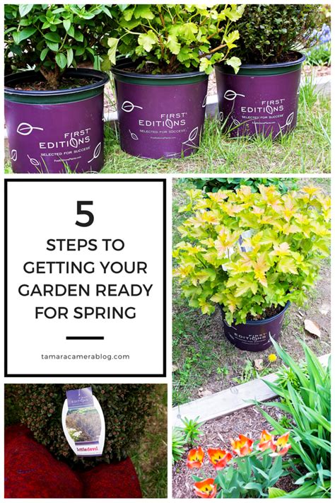 How Do You Get Your Garden Ready For Spring Or Even Start A Garden At