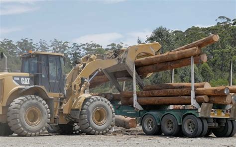 Boral looking to build a biorefinery that turns sawmill residue into ...