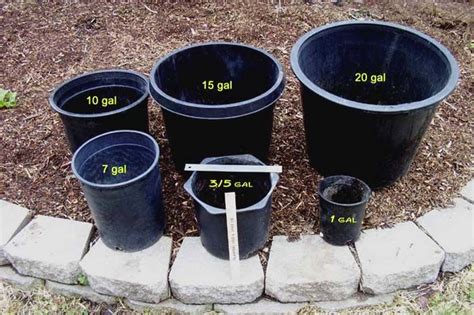 Our current special is on fifteen gallon container trees. 10 gallon pot - Google Search | How to grow watermelon ...