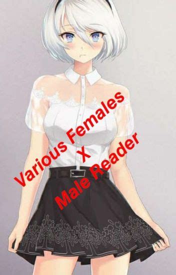 Male Reader X Fem Yandere Various 2 Female Naruto X Female Luffy X
