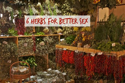 6 Herbs For Better Sex Ask Dr Ho
