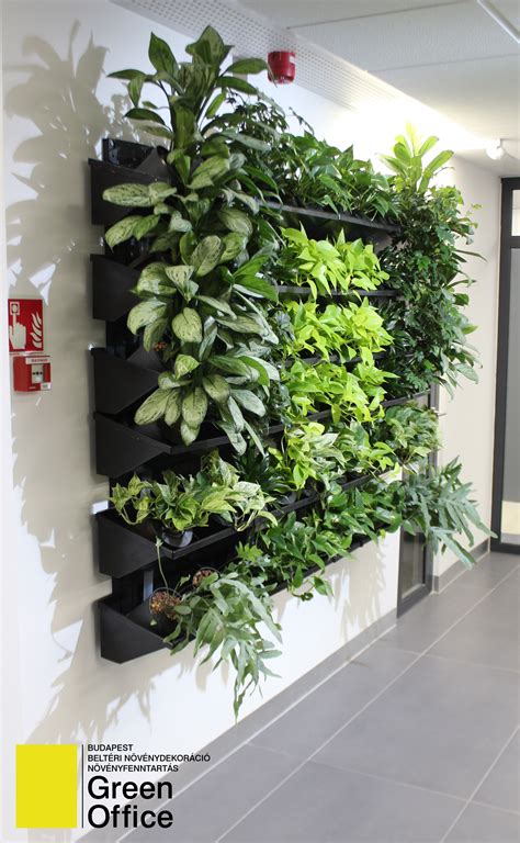 Vertical Green Wall Vertical Garden Indoor Indoor Garden Tropical