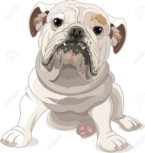 Illustration Of English Bulldog Isolated On White Bulldog Cartoon