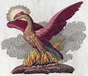 Phoenix (mythology) - Wikipedia