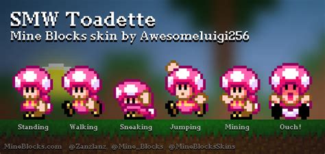 Mine Blocks Smw Toadette Skin By Awesomeluigi256