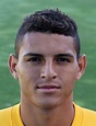 Diego Carlos - player profile 15/16 | Transfermarkt