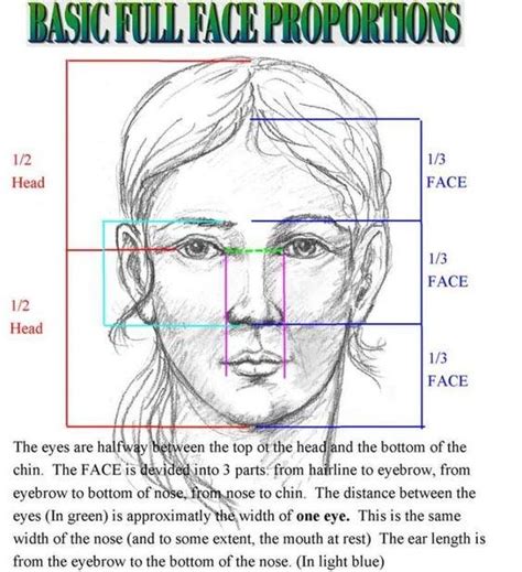 Then draw a horizontal line halfway. How to draw a proportional face - Quora