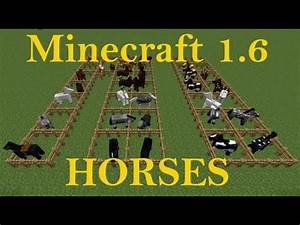 Minecraft Horse Types List All Information About Healthy Recipes And