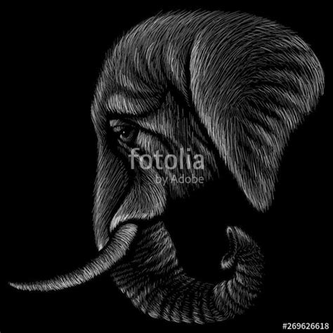 Elephant Print Vector At Collection Of Elephant Print