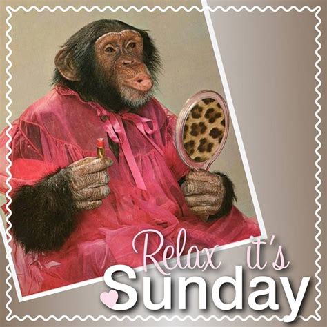 Relax Its Sunday Sunday Chimp Funny Lipstick Funny Sunday Sunday