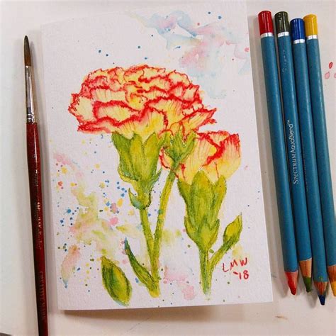 Easy Peasy Watercolor Pencil Project Carnations Watercolor Pencil