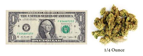 However, most countries (including in the united states) cap the amount a consumer can purchase at a time at one ounce of weed, so let's focus on the different. How Much is A Gram, Quarter, Half Ounce of Weed? | Greenito