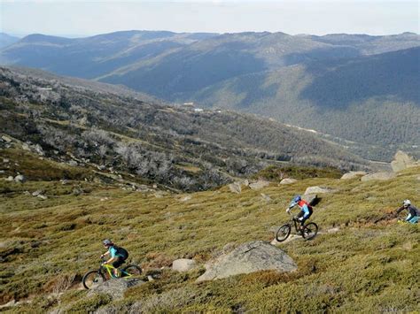 Thredbo Mountain Biking Nsw Holidays And Accommodation Things To Do